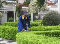 园林绿化工L国家职业技能标准(2022年版)