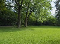 草坪园艺师国家职业技能标准（2022年版）