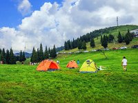 2025年延庆区促进文旅产业高质量发展奖励办法（征求意见稿）