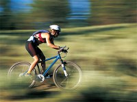 优秀且拥有创新活力的团队都有具有酷爱运动的基本特征