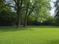 草坪园艺师国家职业技能标准(2022年版)