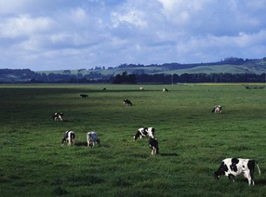 《畜禽养殖标准化示范创建活动工作方案（2018—2025年）》农办牧〔2018〕27号