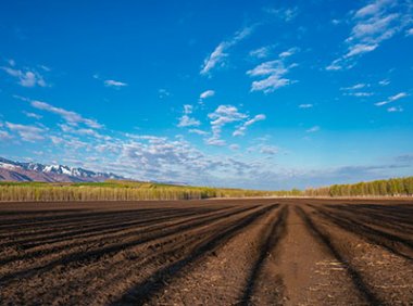 关于进一步加强补充耕地项目管理严格新增耕地核实认定的通知（自然资办发〔2022〕36号）