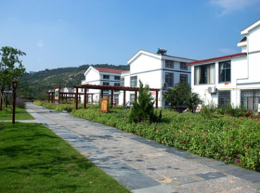 《“十四五”乡村绿化美化行动方案》林生发〔2022〕104号