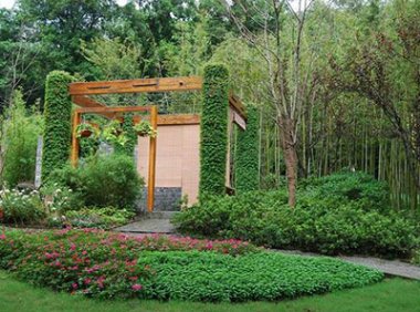 《园林绿化工程施工及验收规范》CJJ 82-2012