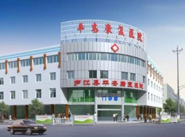 《康复医院基本标准（2012年版）》卫医政发〔2012〕17号