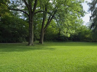 草坪园艺师国家职业技能标准(2022年版)