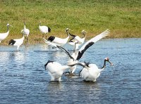 农业农村部关于加强水生生物资源养护的指导意见（农渔发〔2022〕23号）