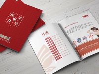 2024年河南省首台（套）重大技术装备认定申报指南（豫工信联装﹝2024﹞96号）