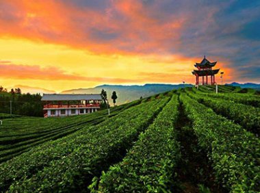 国务院办公厅印发《乡村振兴责任制实施办法》