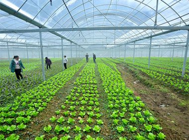 关于进一步做好政府采购脱贫地区农副产品有关工作的通知(财办库〔2022〕273号)