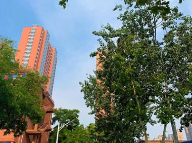 完整社区该怎么建？来听专家观点，探地方实践