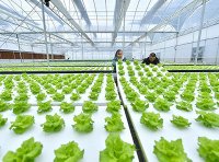 良好农业规范认证(GAP认证)产品目录