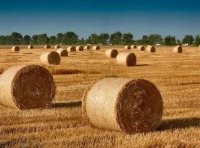 工业和信息化部等六部门关于印发加快非粮生物基材料创新发展三年行动方案的通知（工信部联原〔2023〕5号）