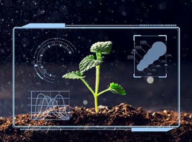 良好农业规范认证（GAP认证）实施规则（CNCA-N-004：2014）