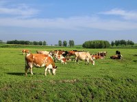 农业农村部办公厅关于开展2023年畜禽养殖标准化示范创建活动的通知