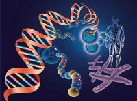 《涉及人的生命科学和医学研究伦理审查办法》国卫科教发〔2023〕4号