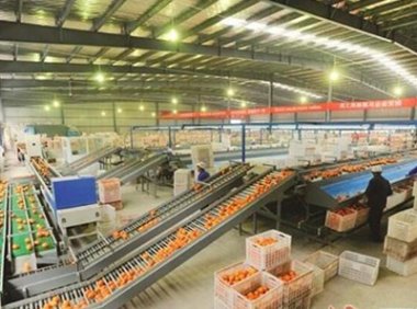 北京市《关于落实乡村振兴重点工作支持农产品加工中小企业发展若干措施》