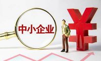 《中小企业划型标准规定》工信部联企业〔2011〕300号