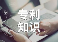 《专利侵权投诉与申辩工作规范》DB 3310/T 62—2019