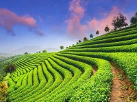 关于印发《农村产权流转交易规范化试点工作方案》的通知（农政改发〔2023〕1号）