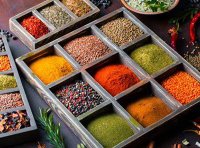 食品添加剂生产许可实施规范(2023年版)