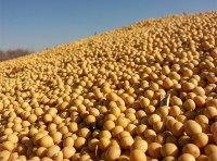 《饲用豆粕减量替代三年行动方案》农办牧〔2023〕9号