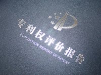 知识产权局专利权评价报告出具受理条件、申请材料及申请流程指南(2023年)