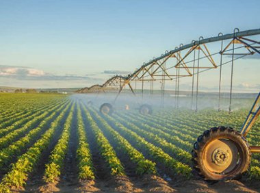 农业农村部办公厅关于开展“千员带万社”行动的通知（农办经〔2023〕4号）