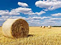 农业农村部办公厅关于做好2023年农作物秸秆综合利用工作的通知（农办科〔2023〕13号）