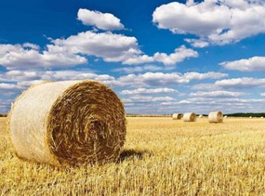 农业农村部办公厅关于做好2023年农作物秸秆综合利用工作的通知（农办科〔2023〕13号）