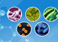 保健食品原料用菌种安全性检验与评价技术指导原则（2020年版）