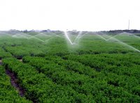 中药材种植选址指导原则（T/GDATCM 0004-2021）