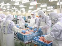 《肉制品生产许可审查细则（2023版）》市场监管总局公告〔2023〕第34号