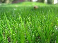 《草种管理办法》2015年修订版