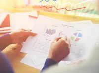 关于进一步做好资本市场财务造假综合惩防工作的意见（国办发〔2024〕34号）