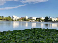 《公共机构水效领跑者引领行动实施方案》国管节能〔2020〕94号