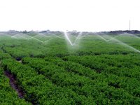 中药材种植选址指导原则(T/GDATCM 0004-2021)