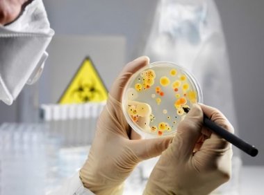 保健食品及其原料安全性毒理学检验与评价技术指导原则（2020年版）