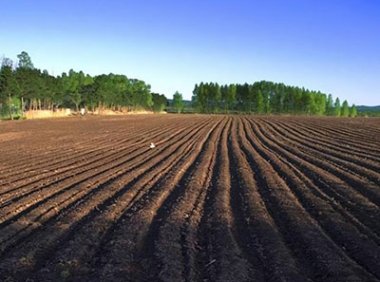 农业农村部关于稳妥开展解决承包地细碎化试点工作的指导意见（农政改发〔2023〕3号）