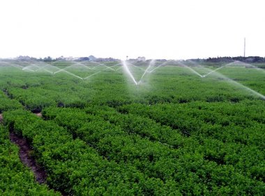 中药材种植选址指导原则（T/GDATCM 0004-2021）