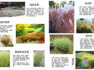 《农业植物新品种保护在线申请和审查工作规范(试行)》自2023年4月1日起施行