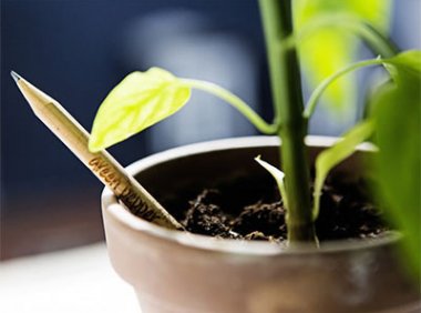 市场监管总局关于发布绿色产品评价标准清单及认证目录(第四批)的公告