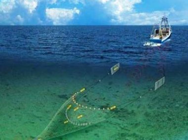 农业农村部关于加强输欧和输日水产品合法性认证管理的通知（农渔发〔2023〕20号）