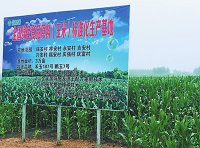 全国绿色食品原料标准化生产基地建设与管理办法(中绿基〔2020〕149号)