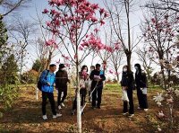 关于落实深化集体林权制度改革要求 规范高效做好林权类不动产登记工作的通知（自然资办发〔2024〕24号）