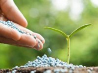 《肥料登记审批标准》农业部公告第2287号