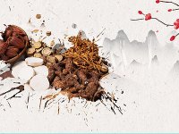 中药品种保护登记指导原则