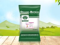 农业农村部关于实施养殖业节粮行动的意见(农牧发〔2024〕18号)