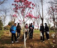 关于落实深化集体林权制度改革要求 规范高效做好林权类不动产登记工作的通知（自然资办发〔2024〕24号）